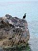Mallorca, Spanien (2004)