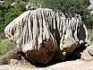 Mallorca, Spanien (2004)