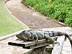 Bali & Komodo, Indonesia (2004)
