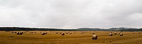 Irgendwo auf R&uuml;gen - R&uuml;gen & Stralsund