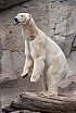 Cuxhaven & Zoo Bremerhaven, Deutschland (2014)
