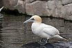 Cuxhaven & Zoo Bremerhaven, Deutschland (2014)