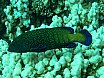 Makadi Bay & Luxor, &Auml;gypten (2008)