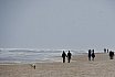 Sylt, Deutschland (2015)